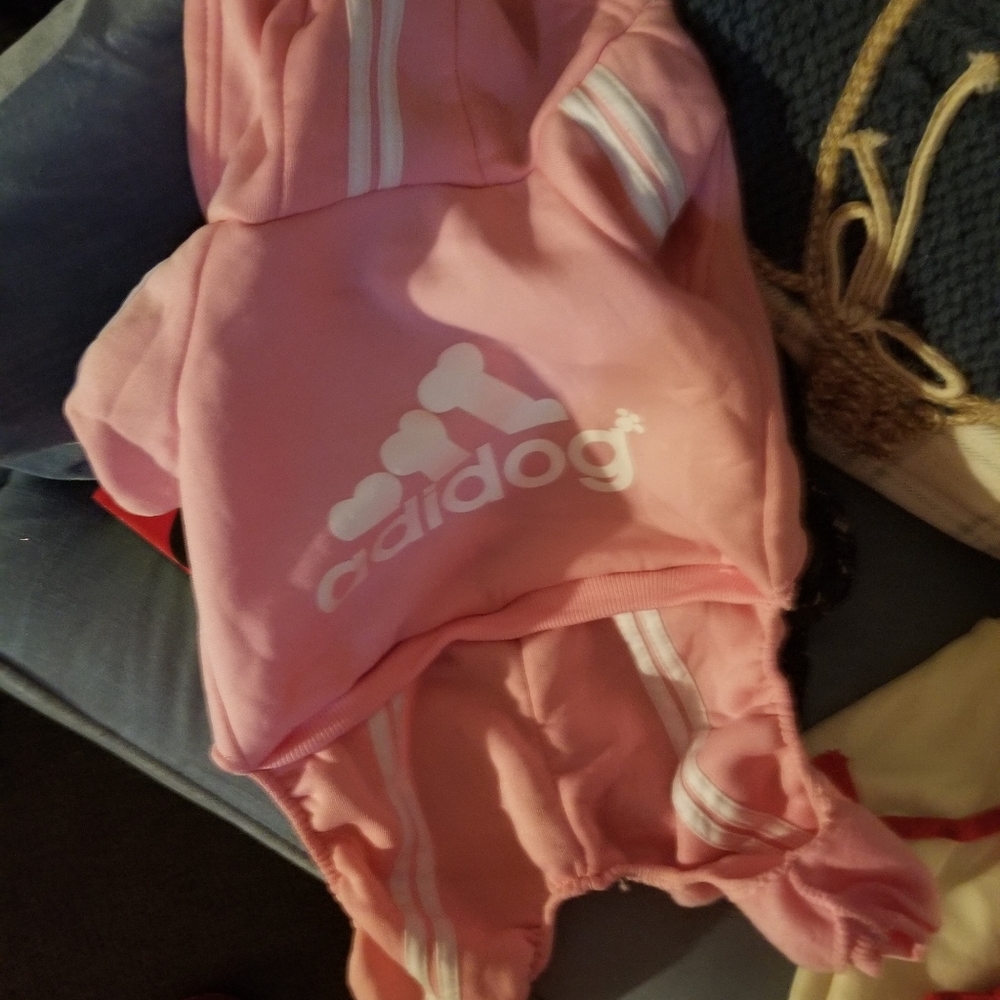 Dog clothes